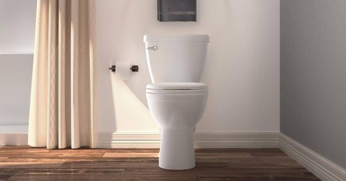 common toilet problems